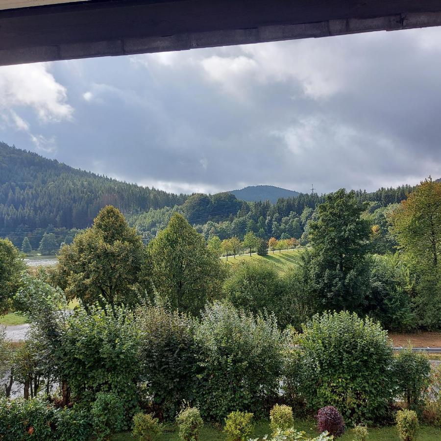 Ferienwohnung Am See Winterberg Ngoại thất bức ảnh